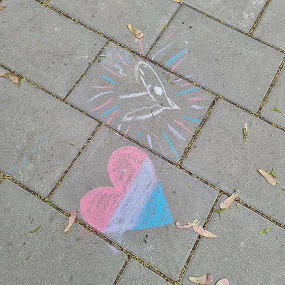 idahobit-9